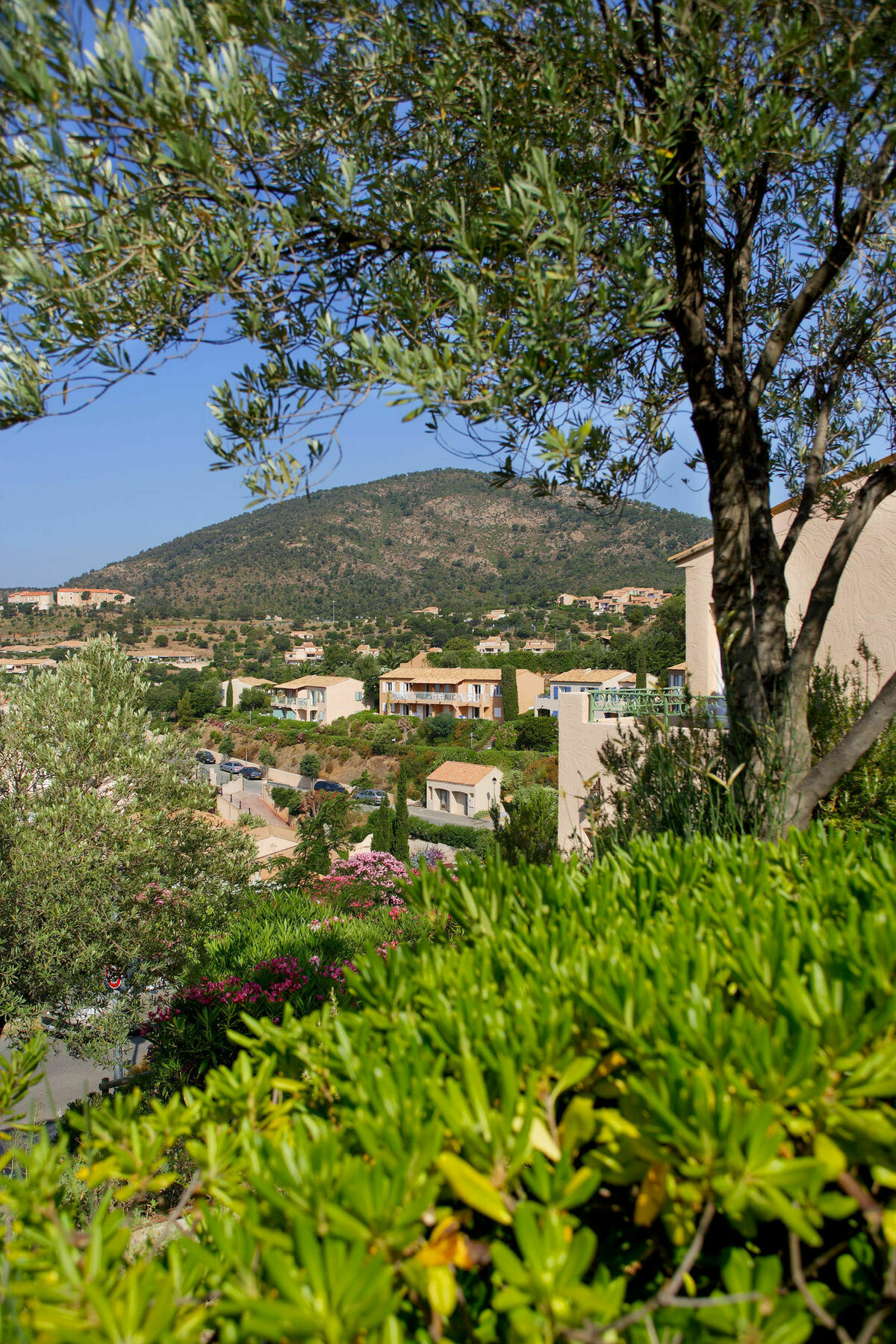 Residence Pierre & Vacances Les Terrasses Des Issambres Les Issambres Dış mekan fotoğraf